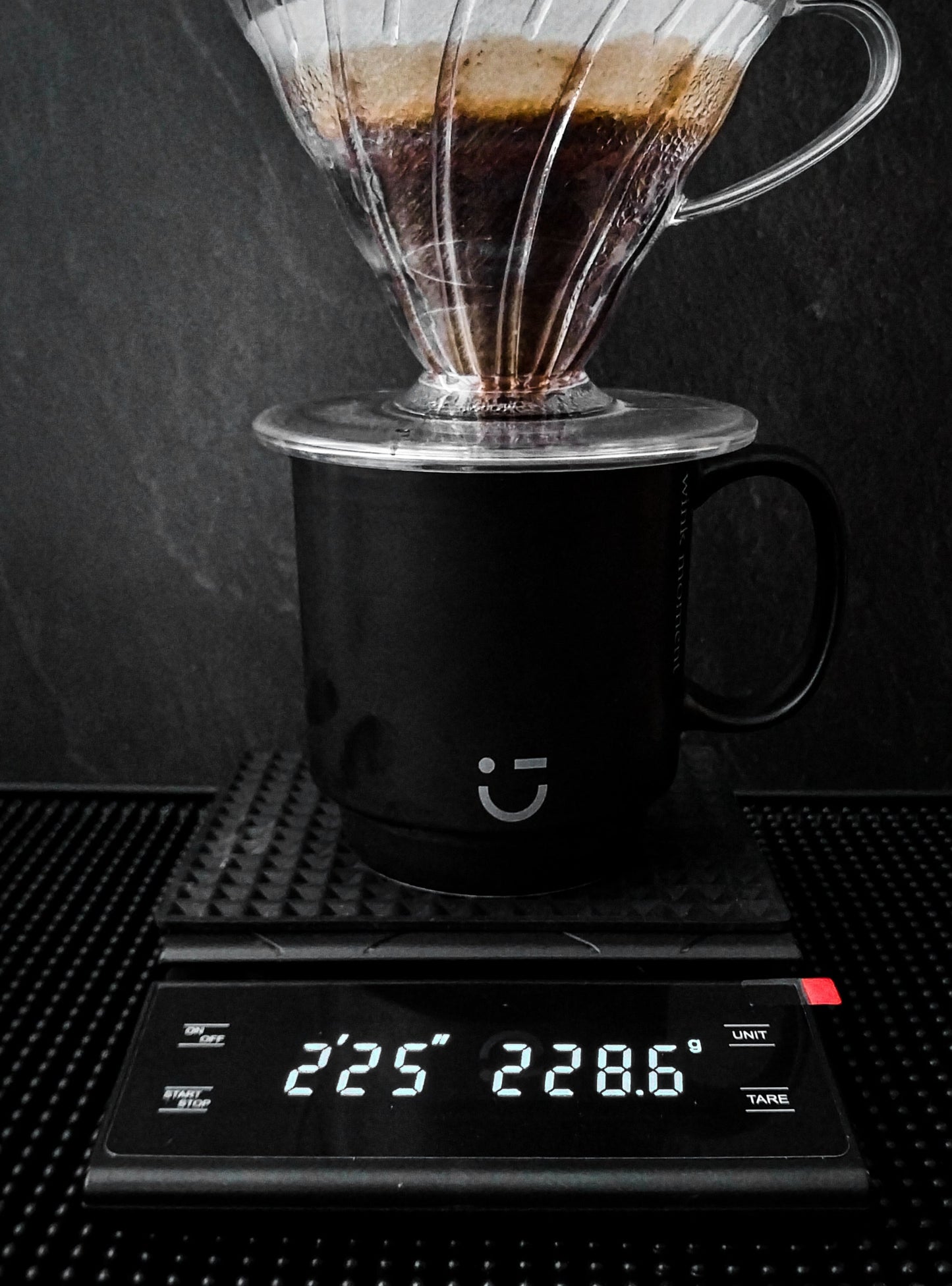 BALANZA DIGITAL PROFESIONAL