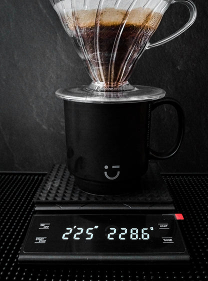 BALANZA DIGITAL PROFESIONAL